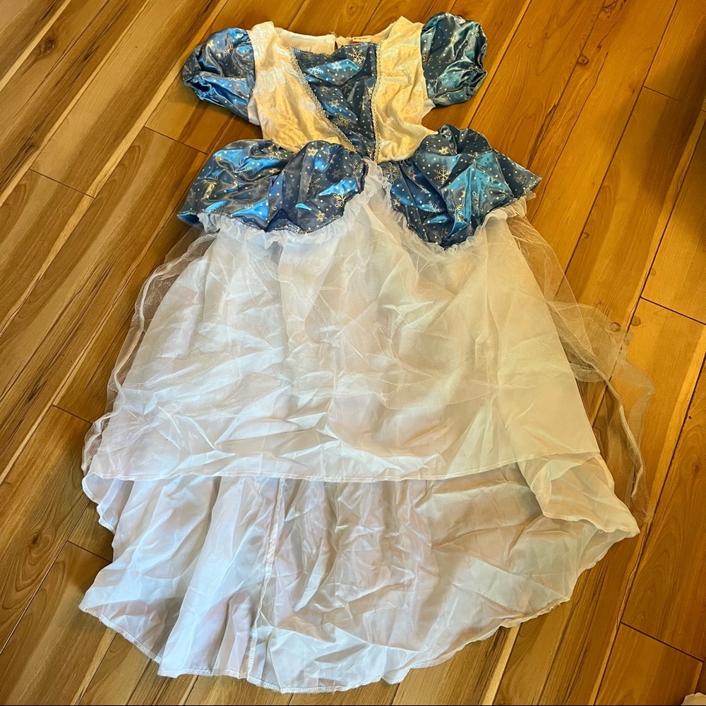 Blue and White Cinderella Costume